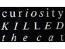 curiosity KILLED the cat 2